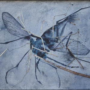 Smashed Mosquito 2
