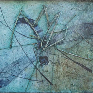 Smashed mosquito