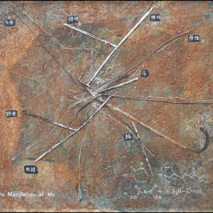 The morphology of Ma