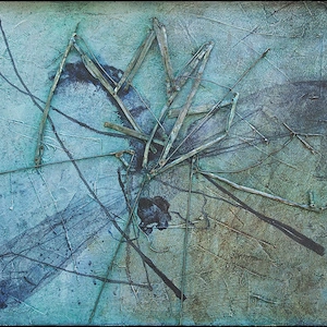 Smashed mosquito