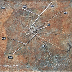 The morphology of Ma